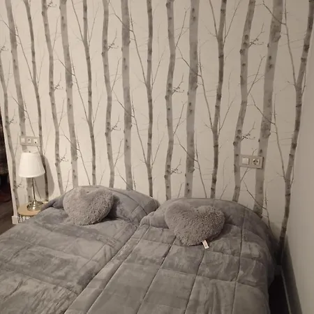 Zapaterias Apartment Leon