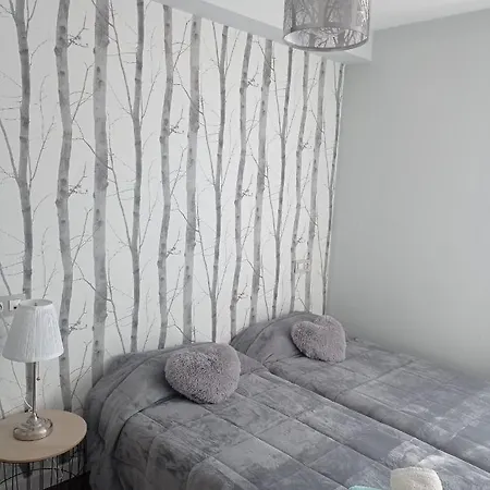 Apartment Zapaterias Leon